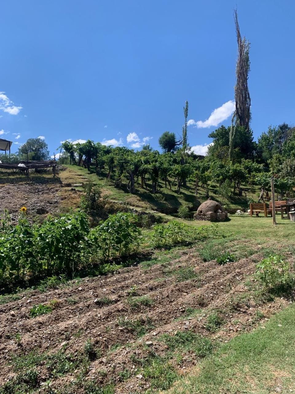 Cabana Cortaderas Mi Campito Cachi Salta Εξωτερικό φωτογραφία